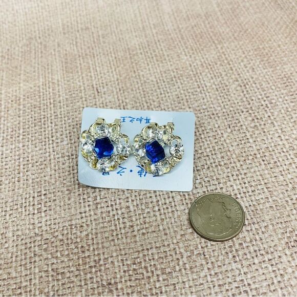 Blue and Clear Crystal Earrings - Picture 1 of 3